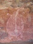 Ubirr Rock Turtle.JPG (155 KB)